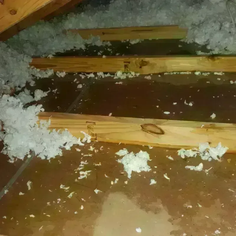 Attic Water Damage in Peshtigo, WI