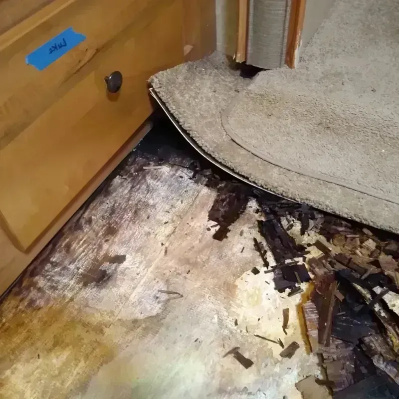 Best Wood Floor Water Damage Service in Peshtigo, WI